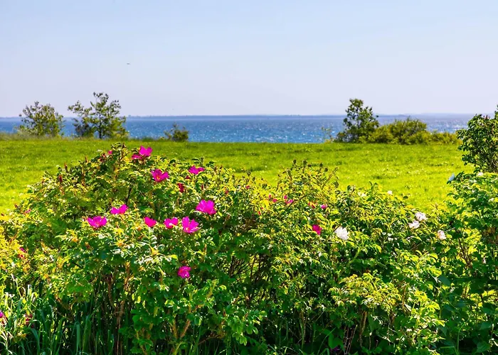 Unter Den Linden アパート *